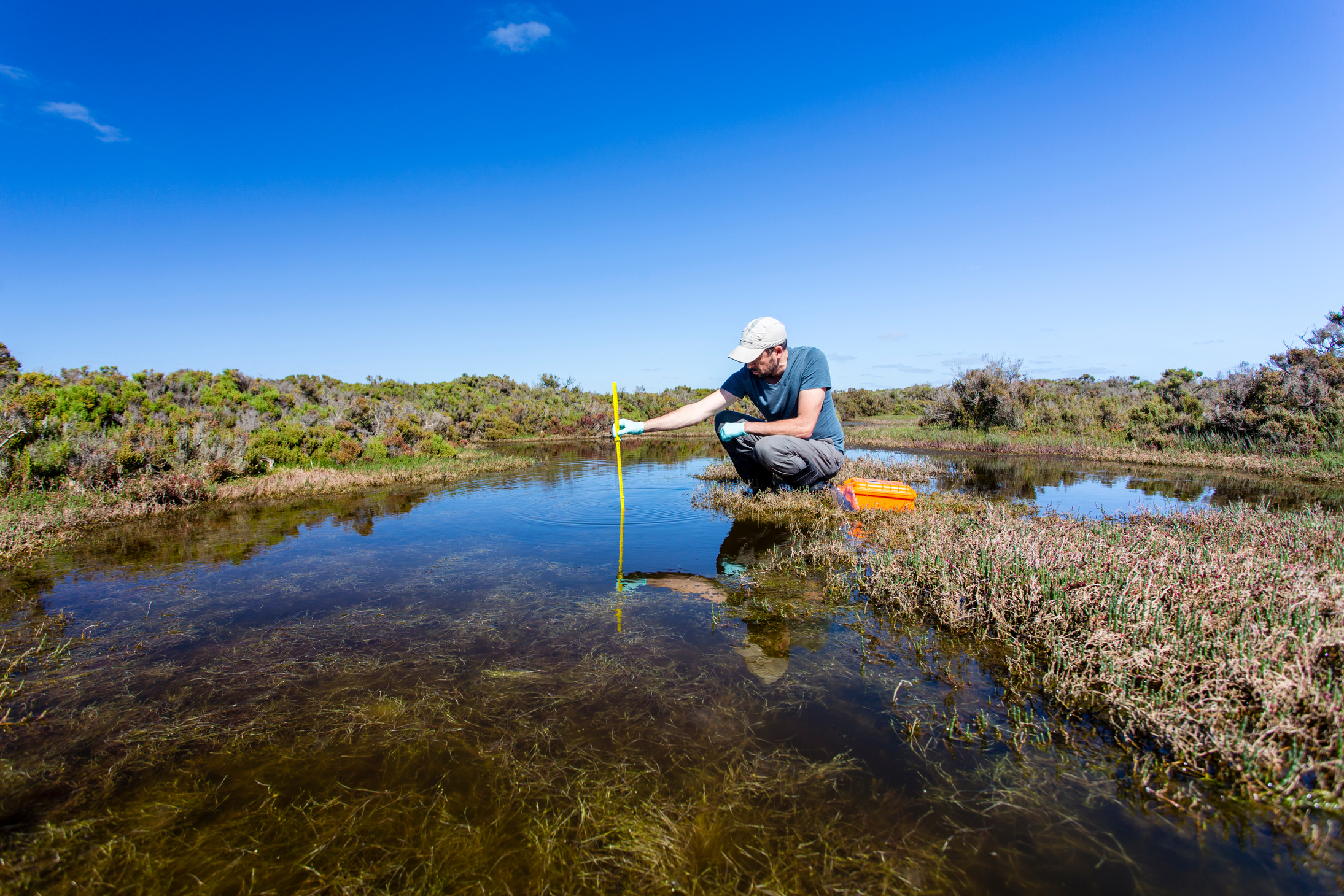 Scientist Measuring Environmental Water Quality Parameters