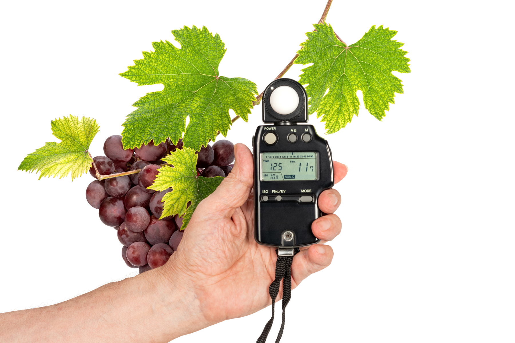 Light Meter